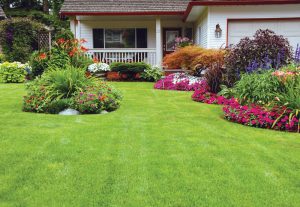 5 lawn care tips for spring, garden tools, grass seed, best prices in watsonville, freedom, central coast ace
