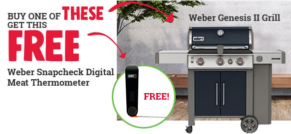 free meat thermometer, ace hardware in watsonville, weber grill on sale