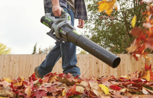 ego power tools in gilroy, battery-powered blowers, central coast ace hardware