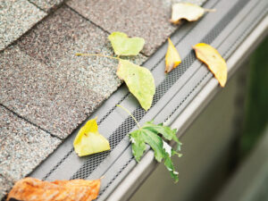 gutters, fall home maintenance, checklist