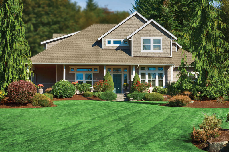 restore a thin lawn, lawncare products watsonville gilroy salinas ace hardware