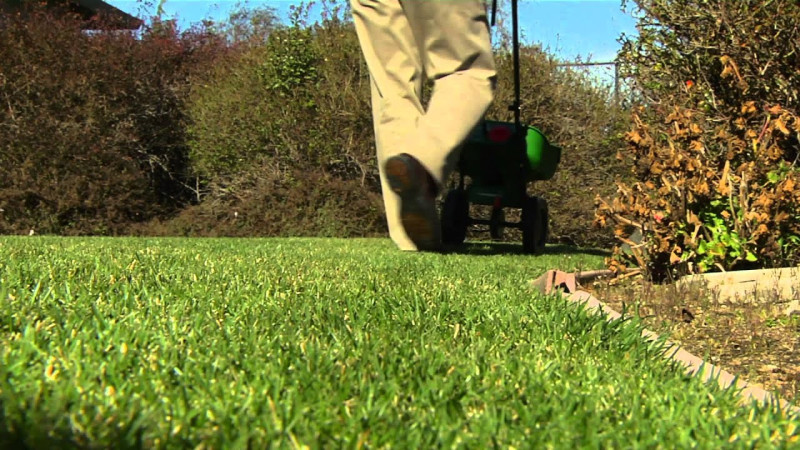 lawn care, summer heat home tips, ace hardware