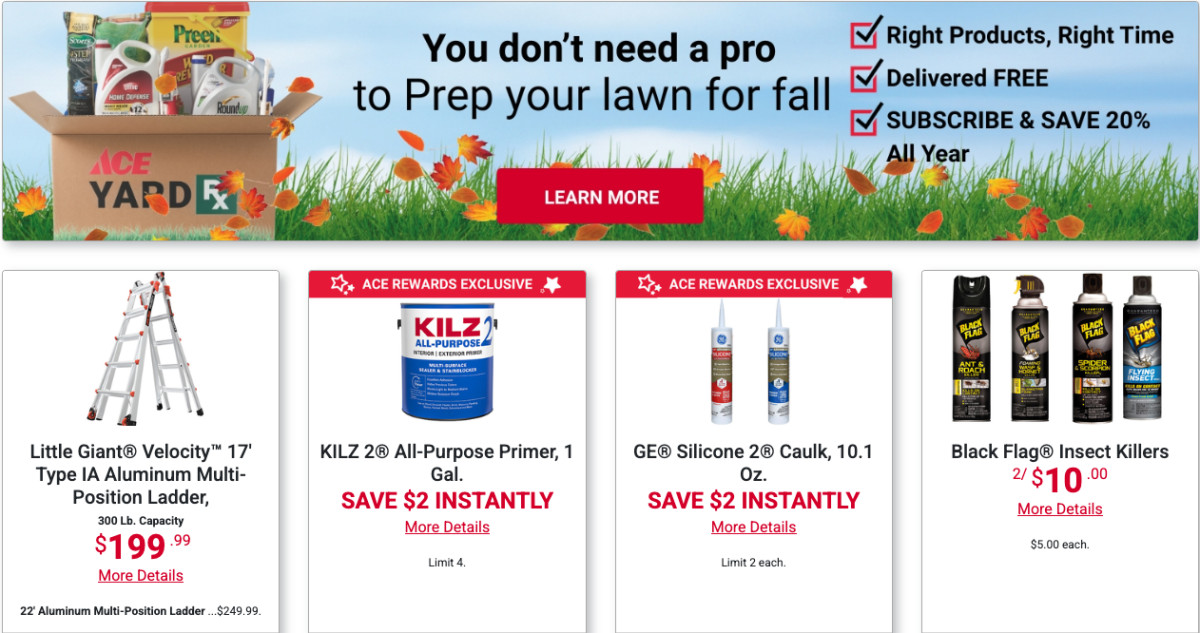ace hardware july sales