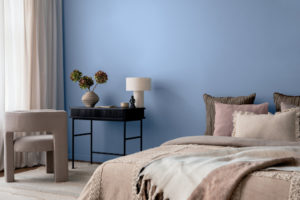 clark+kensington, color of the year 2027, vantage point, ace hardware exclusive